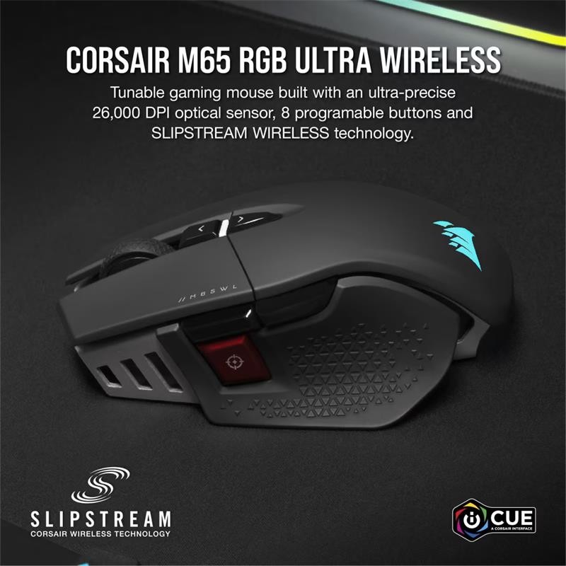 RATON GAMING CORSAIR M65...