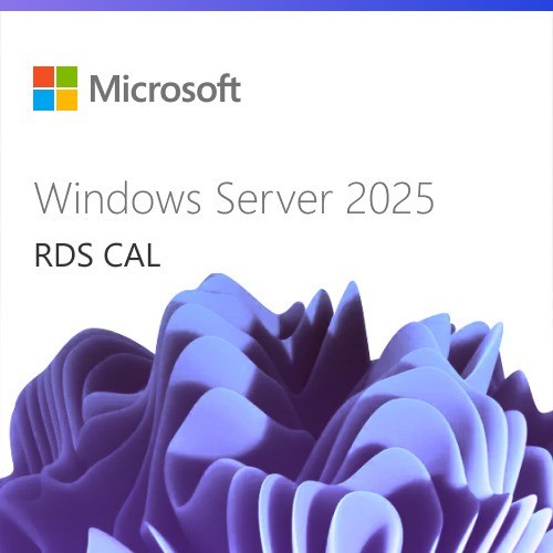 MICROSOFT WINDOWS 2025...